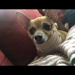 Meet your Posher, Christian